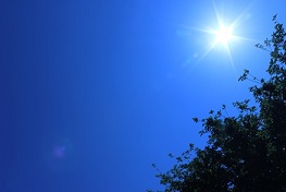 Zo makkelijk is het om jezelf te helen: DNA netwerken in drie stappen